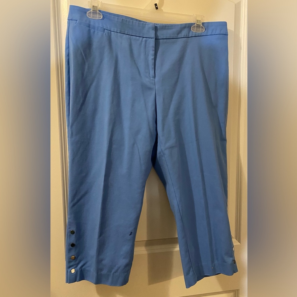 Raefella “Curvy” Blue Capris